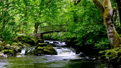 Relaxing Nature Sounds for Sleeping - Natural Calm Forest Waterfall Music Meditation Sound for Study