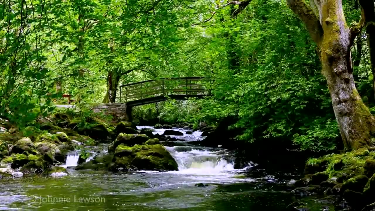 Relaxing Nature Sounds for Sleeping - Natural Calm Forest Waterfall Music Meditation Sound for Study