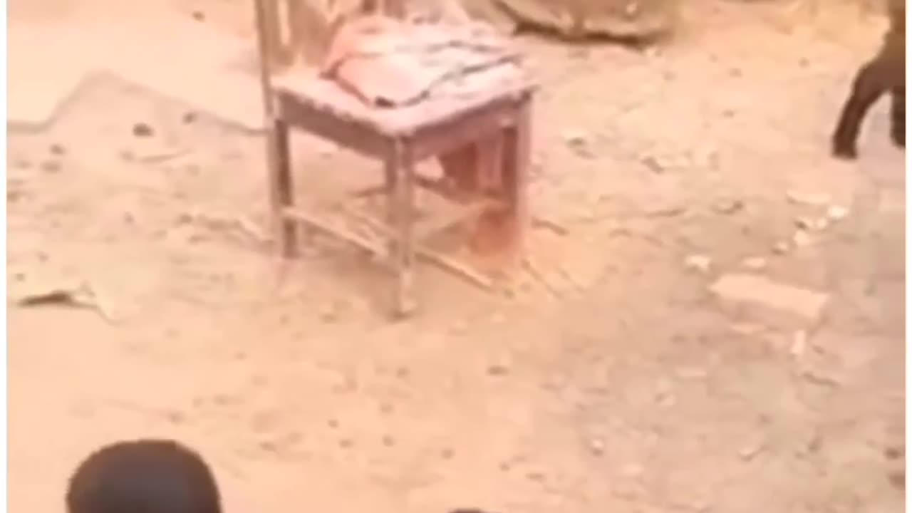 Most Funny and Cute Baby Goat Videos Compilation