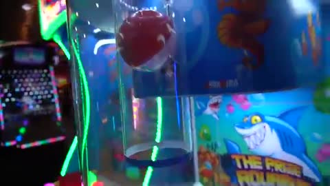 Lyssy Noel-I FOUND THE MOST INTERESTING CLAW MACHINE!!!