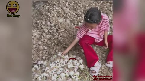 Most Funny | Entertainment Vedio