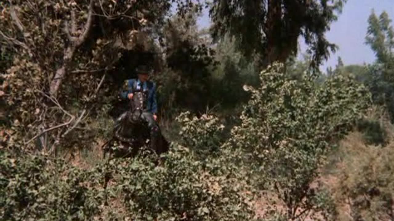 The Night of the Juggernaut