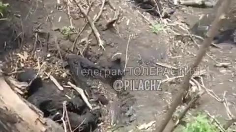 Aftermath of a Russian TOS-1 Strike on Ukrainian Positions.