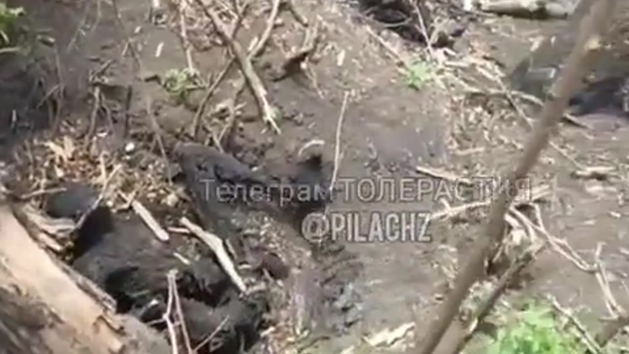 Aftermath of a Russian TOS-1 Strike on Ukrainian Positions.