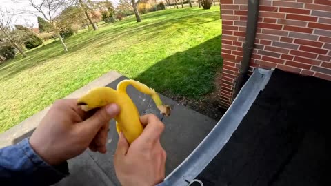 Freerunning parkour