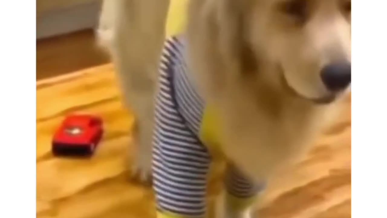 A Oscar winning performance😂#viral video