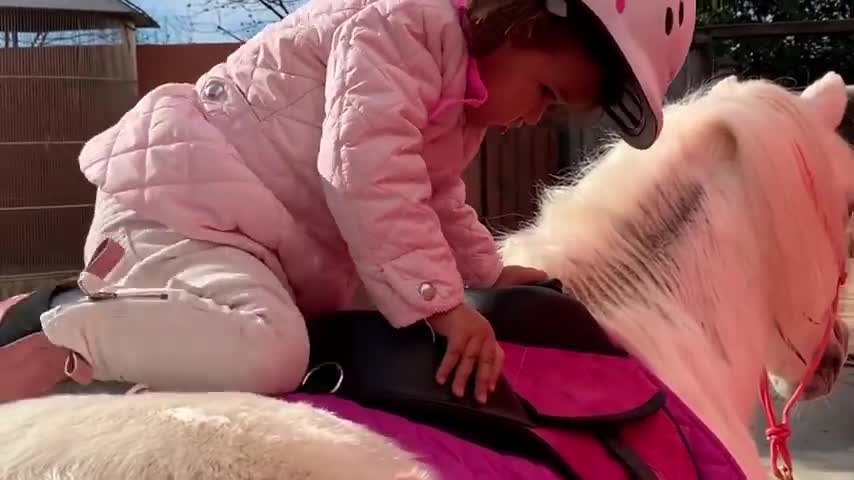 The Cutest Little Toddler Horse Rider and her Pony.