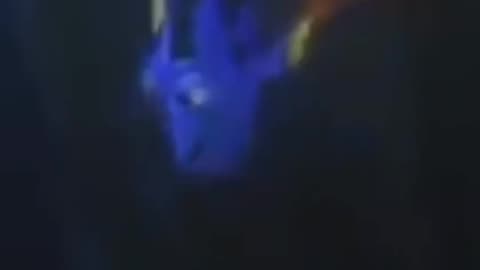 Just Keep Swimming / FINDING NEMO