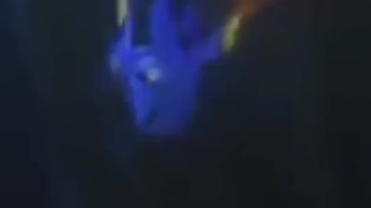 Just Keep Swimming / FINDING NEMO