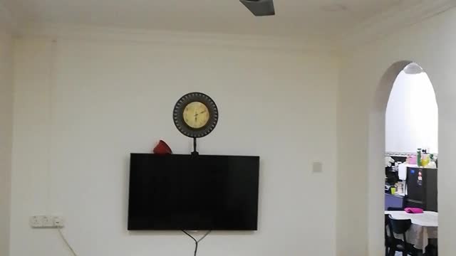 Disco downlight