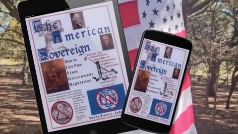 The American Sovereign Book by Brent Johnson