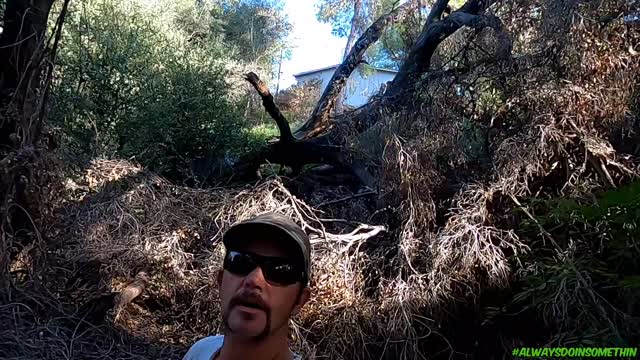 Cleaning out Waterfall new property