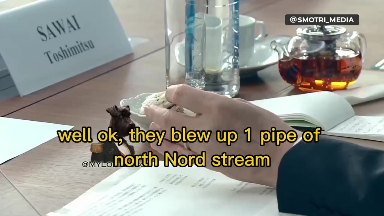 Putin questions EU's logic. Expensive Russian gas through Ukraine & Turkey instead of the Baltic sea