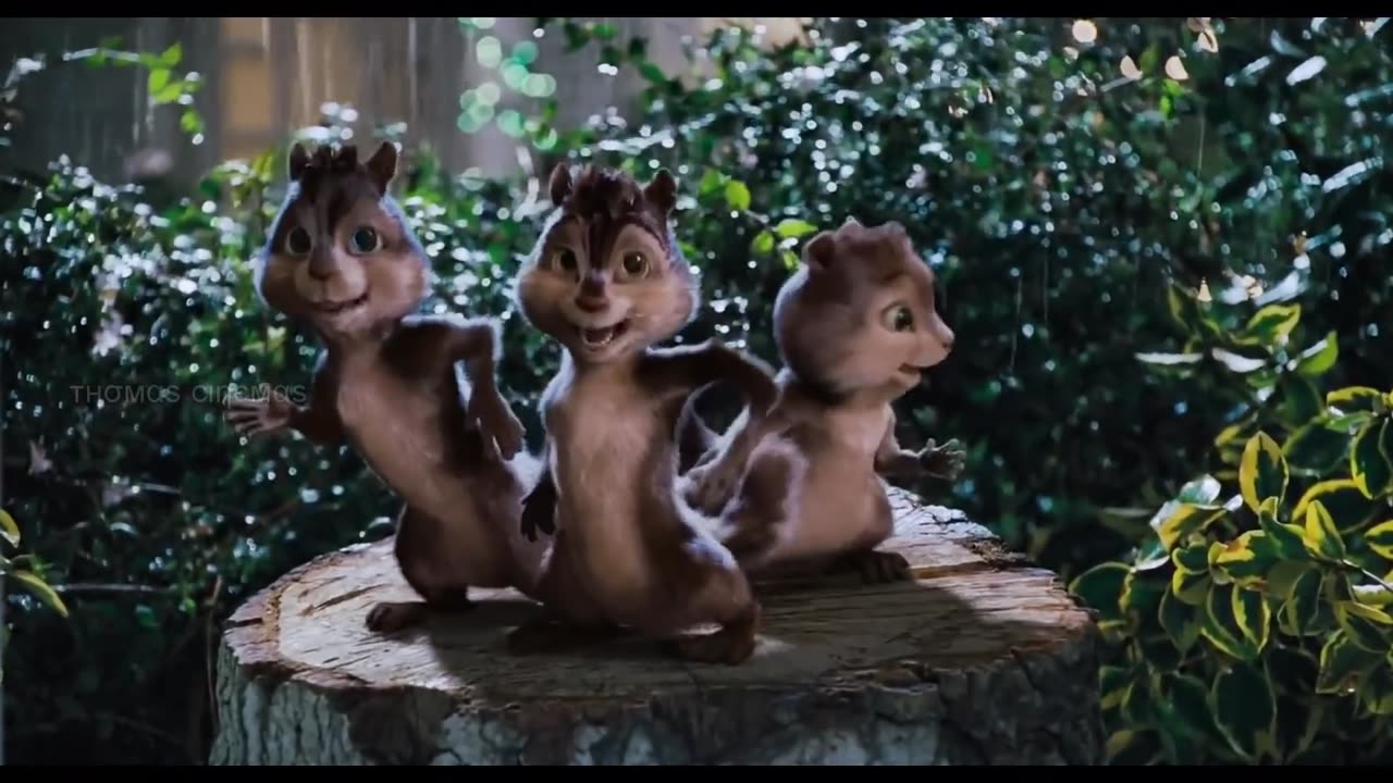 Three cat singing and dancing 🦥🐱🐶