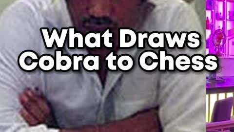What draws cobra to chess