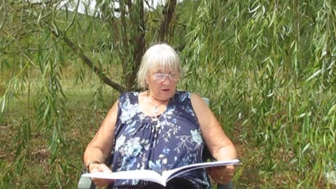 Tales from under the trees