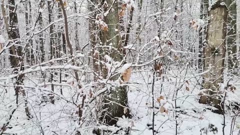 trzymam się dobrej myśli