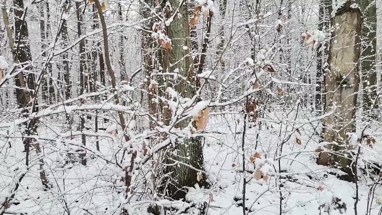 trzymam się dobrej myśli