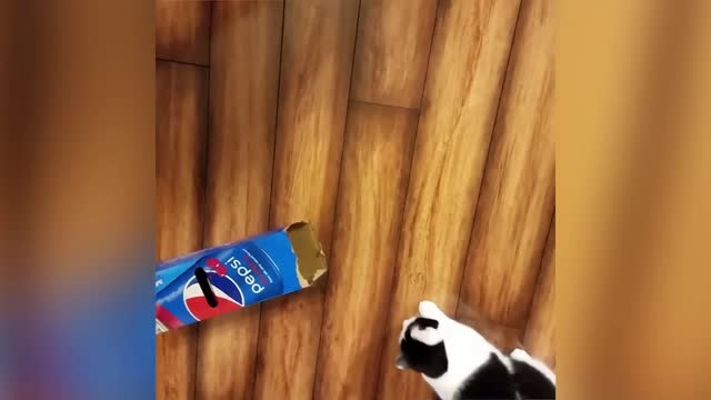 😂​😂​😂​ with my box I am happy!!