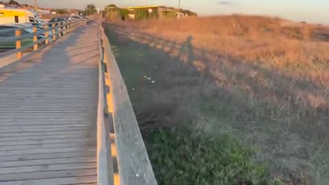 ATTENTION!! ACCESS TO BAM BAM BITCOIN BEACH IS BEING CLOSED DOWN!!! ATTENTION!!