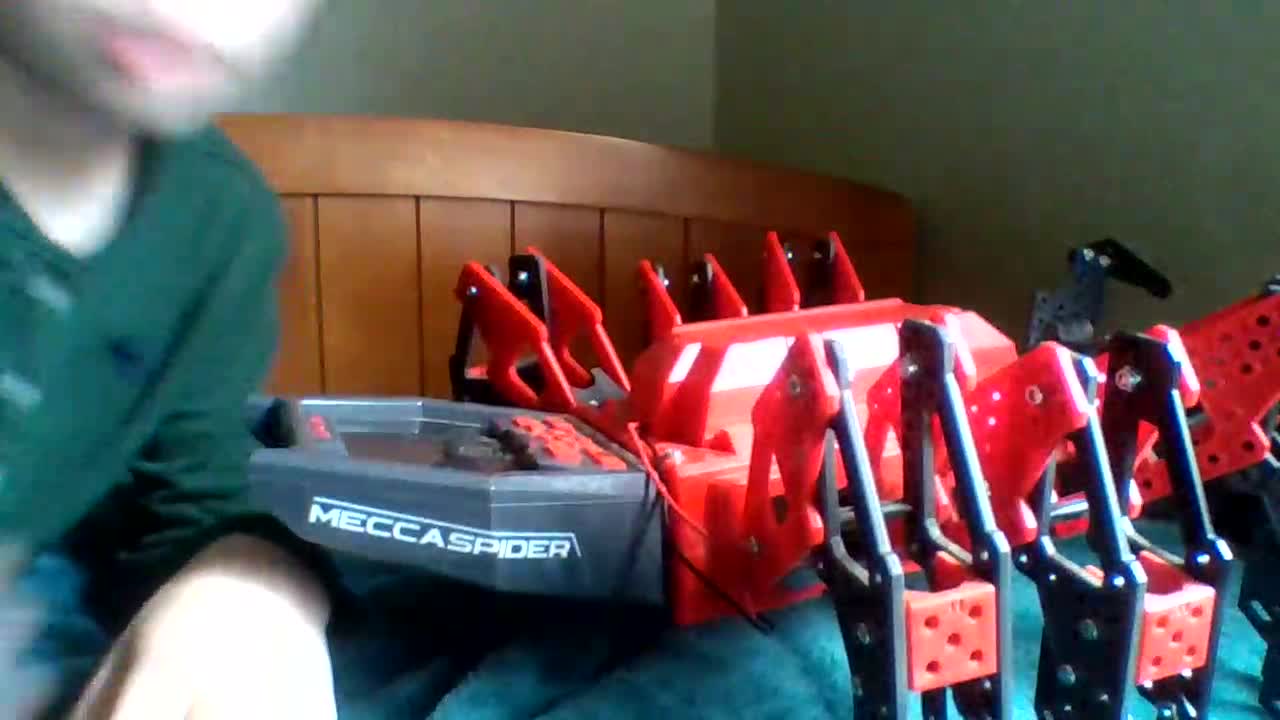 Mecca Spider