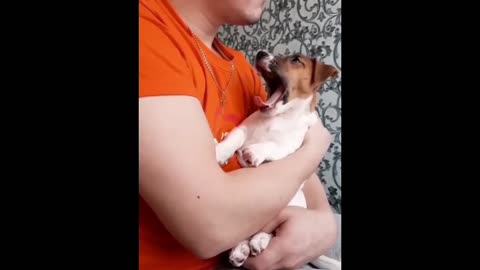 "Canine Capers: Hilarious Doggie Dance Moves" 🐶💃😂