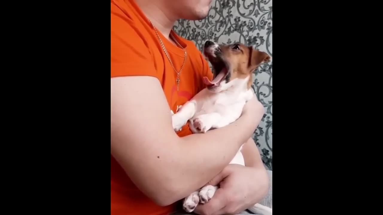 "Canine Capers: Hilarious Doggie Dance Moves" πΆππ