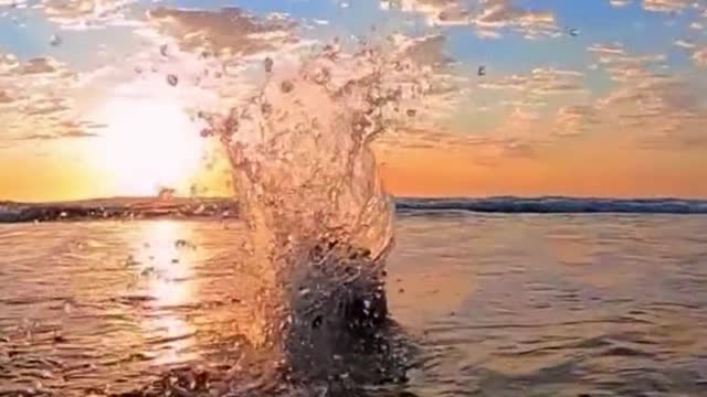Are you free this summer? Let's go to see the sea