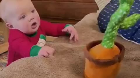 Watch the end 😂 😅