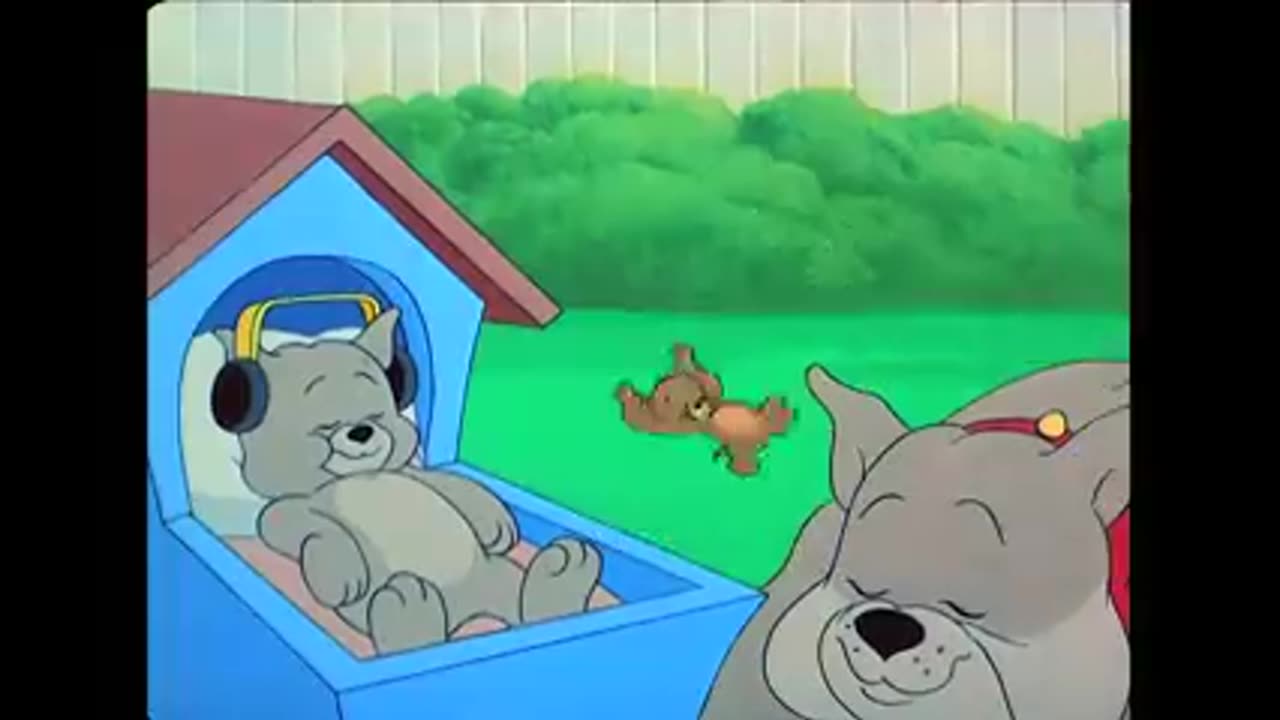 Tom & Jerry