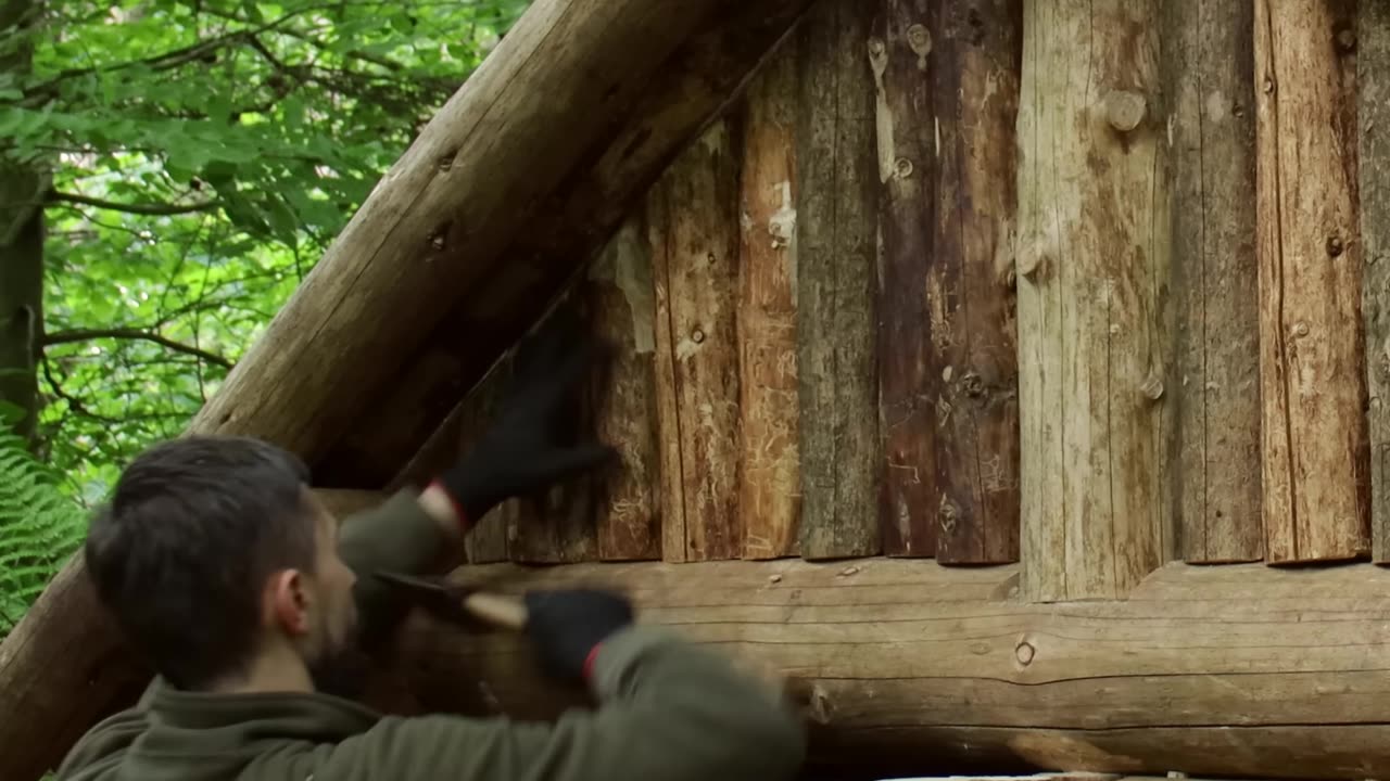 Building a Log Shelter in the Atmospheric Forest