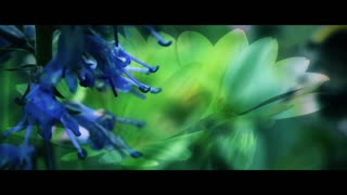 Mikki Willis - Where there is Unity there is Victory