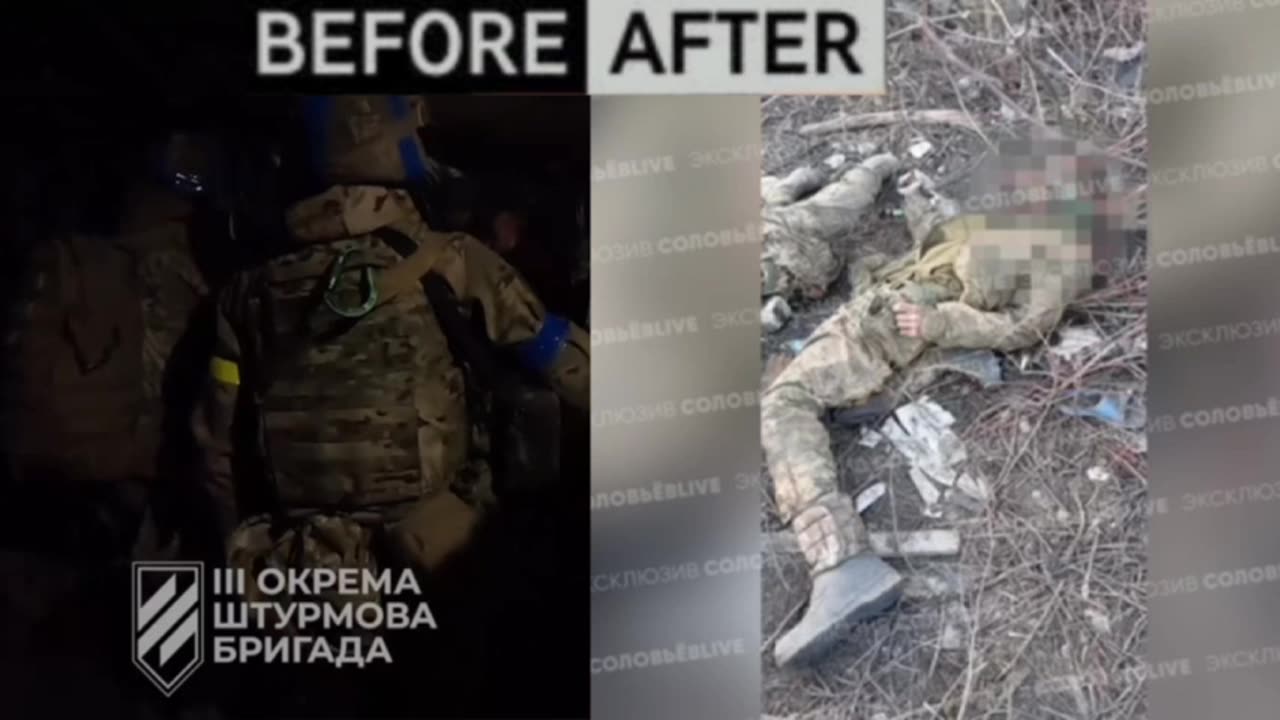 18+ !!! Azov Before & After Russian Strike