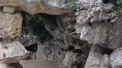 stone born of nature