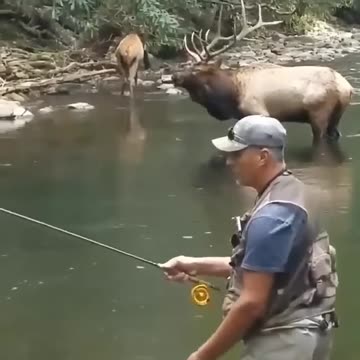Elk Approved Fishing