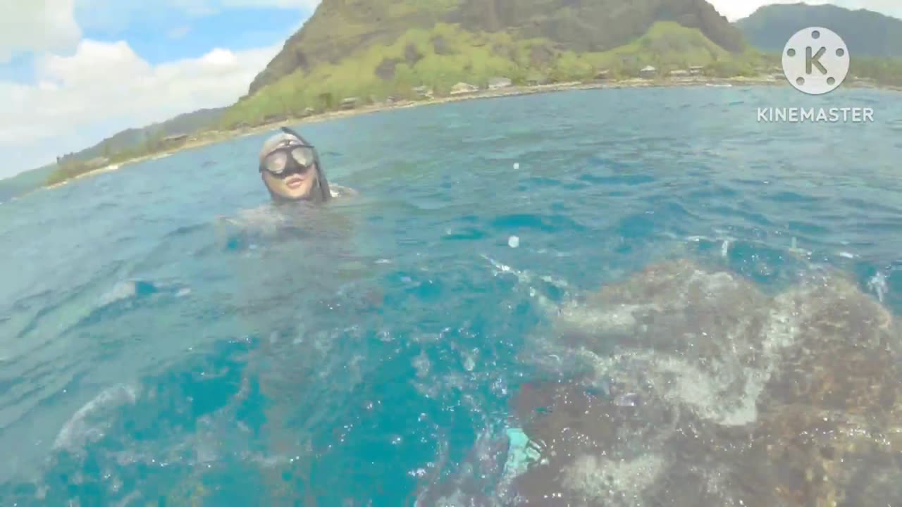 HUGE SEA TURTLE RESCUE! Green Sea Turtle entangled in fishing line ☠️