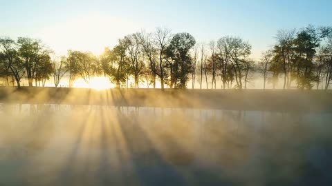 Enchanting Autumn Forests with Beautiful Piano Music