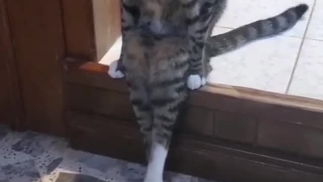 I'm just gonna sit down & think about it