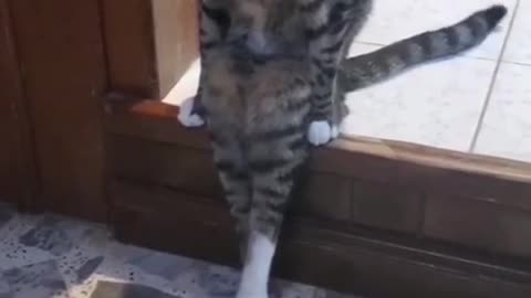 I'm just gonna sit down & think about it