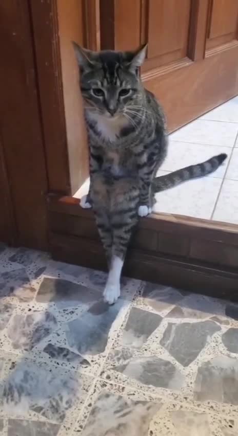 I'm just gonna sit down & think about it