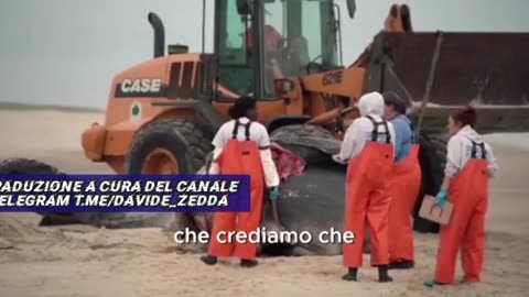 GETTATI AL VENTO”, IL DOCUMENTARIO CHE SVELA UN “GRANDE SCANDALO SCIENTIFICO