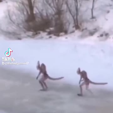Creepy two aliens running in the snow