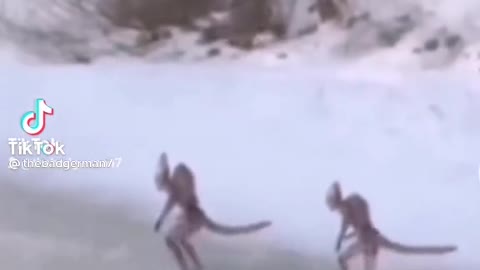 Creepy two aliens running in the snow