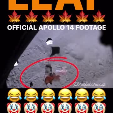 a space leaf problem :)