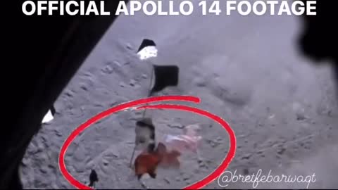 a space leaf problem :)