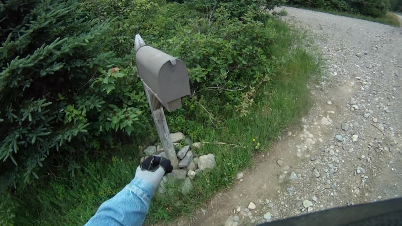 June 29th, 56º Flynn and I go into Prentiss, he prefers this place