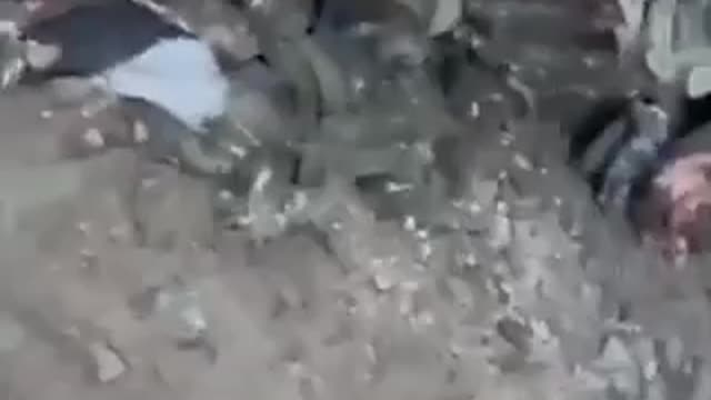 garbage on the road