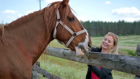 Beautiful blonde feed the horse with flowers through the fence