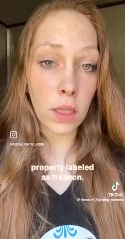 💥BQQQQQQQM💥TREASONOUS US GOVERNMENT EXPOSED - CONSTITUTION ART. 4.4 + ART. 3.3 - TREASON