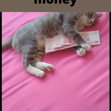 don't touch this is my money